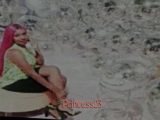princess23 Kachou Fuzoku