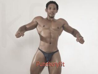 Pumebonyfit