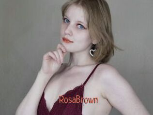 RosaBrown