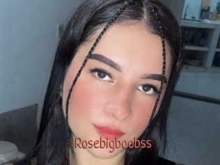 Rosebigboobss