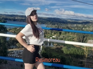 Rosimoreau