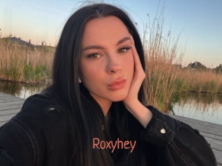 roxyhey Kachou Fuzoku