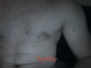 Roybiboy