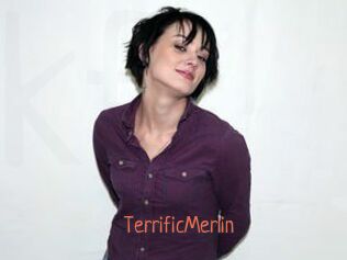 TerrificMerlin