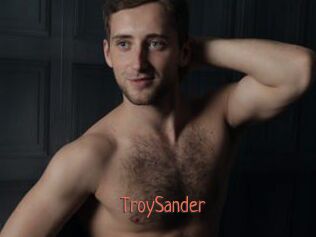 TroySander