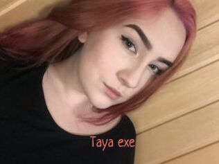 Taya_exe