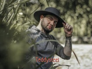 Teddysteel