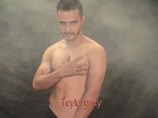 Teylorgrey