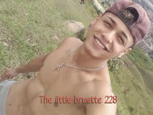 The_little_bruette_228