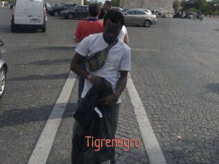 Tigrenegro