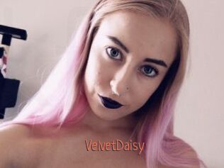 VelvetDaisy