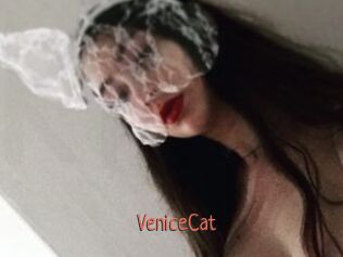 VeniceCat