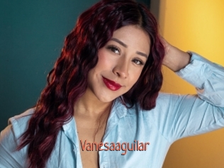 Vanesaaguilar