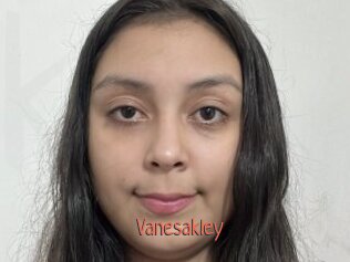 vanesakley Kachou Fuzoku