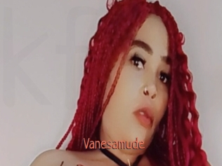 Vanesamude