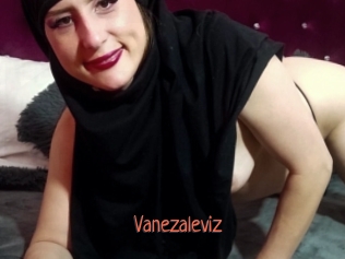 Vanezaleviz