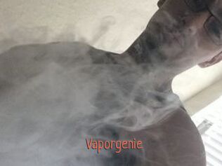 Vapor_genie