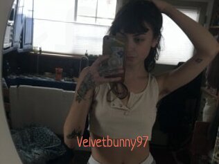 Velvetbunny97