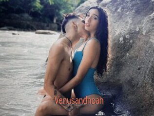 Venusandnoah