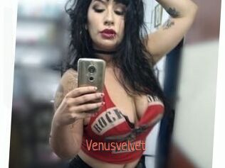 Venusvelvet