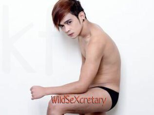 WildSeXcretary