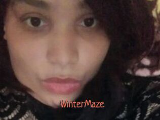 Winter_Maze