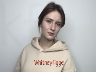 Whitneyfigge