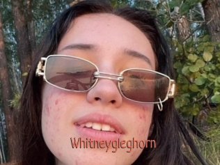 Whitneygleghorn