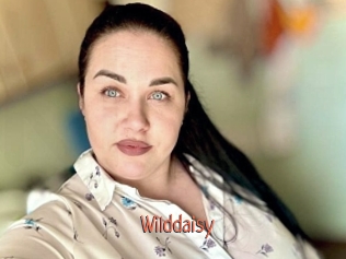 wilddaisy Kachou Fuzoku