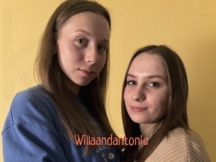 Willaandantonia