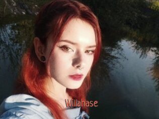 Willahase