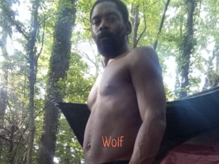 Wolf