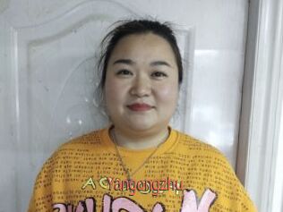 Yangongzhu