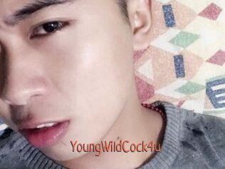 YoungWildCock4u