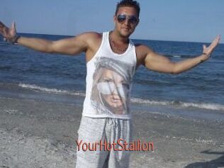 YourHotStallion