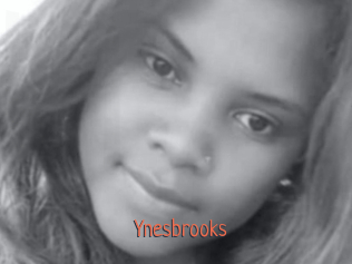 Ynesbrooks