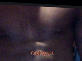 Yungbigcock